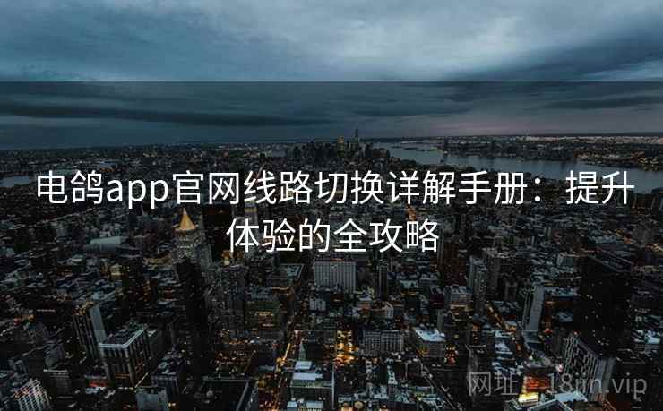 电鸽app官网线路切换详解手册:提升体验的全攻略 电鸽app官网线路切换详解手册:提升体验的全攻略