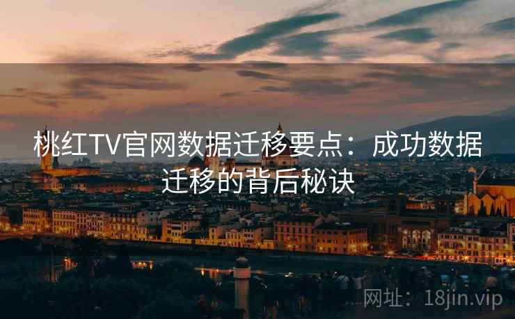 桃红TV官网数据迁移要点：成功数据迁移的背后秘诀
