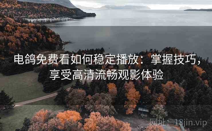 电鸽免费看如何稳定播放：掌握技巧，享受高清流畅观影体验