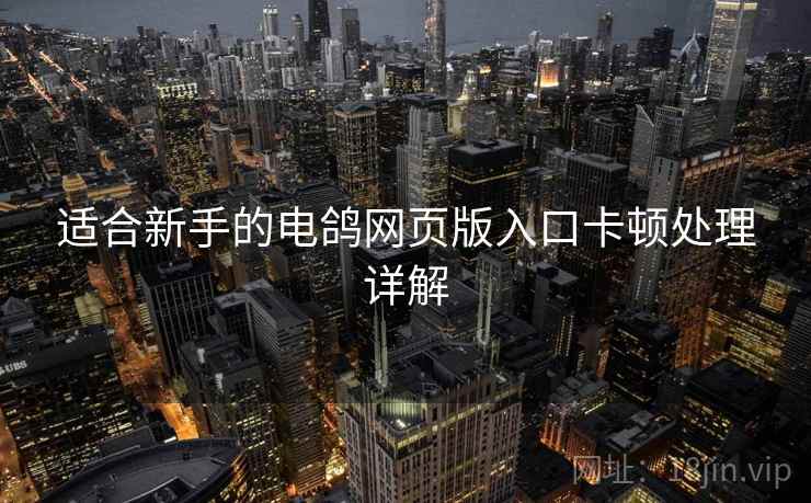 适合新手的电鸽网页版入口卡顿处理详解