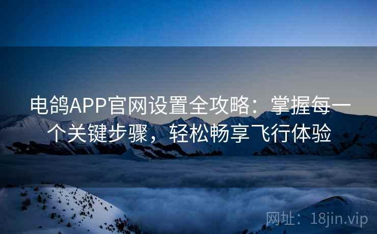 电鸽APP官网设置全攻略：掌握每一个关键步骤，轻松畅享飞行体验