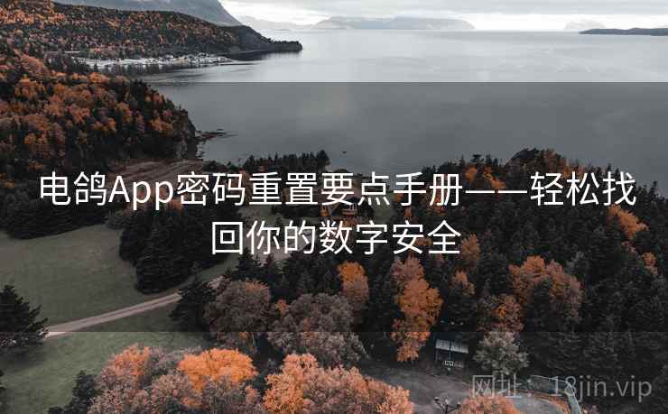 电鸽App密码重置要点手册——轻松找回你的数字安全