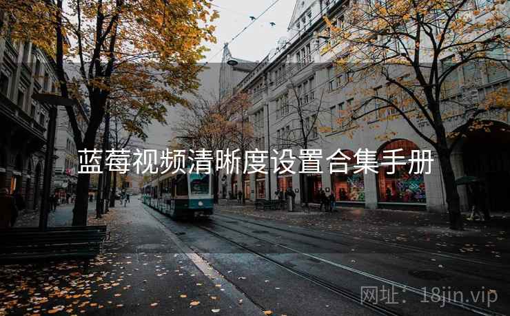 蓝莓视频清晰度设置合集手册 蓝莓视频清晰度设置合集手册